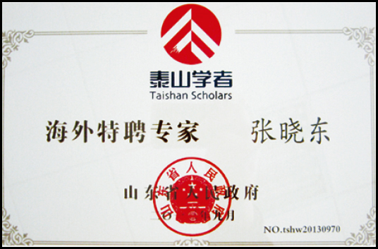 山東省“泰山學(xué)者”